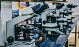 ousa-chea-gKUC4TMhOiY-unsplash