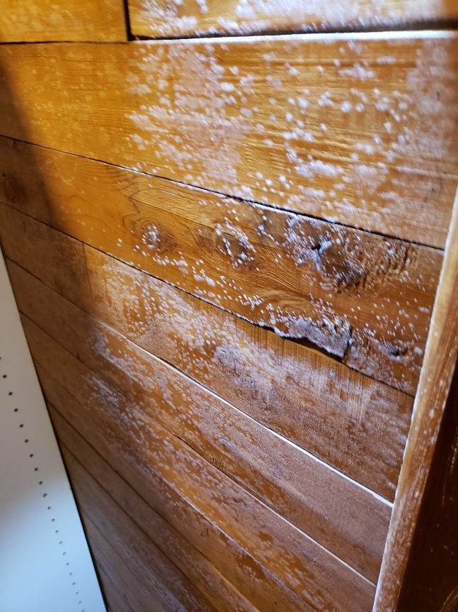 What caused MOLD in my home when no water leak occurred?