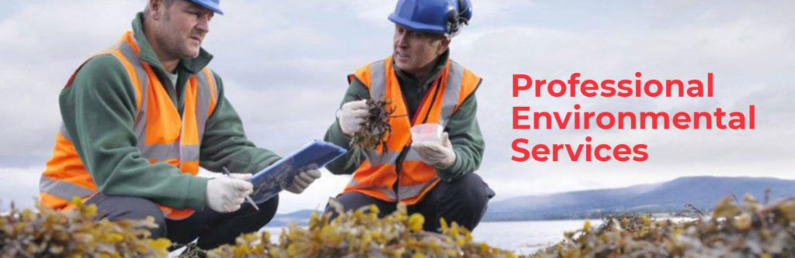 Wellington Environmental Professional Environmental Services banner image