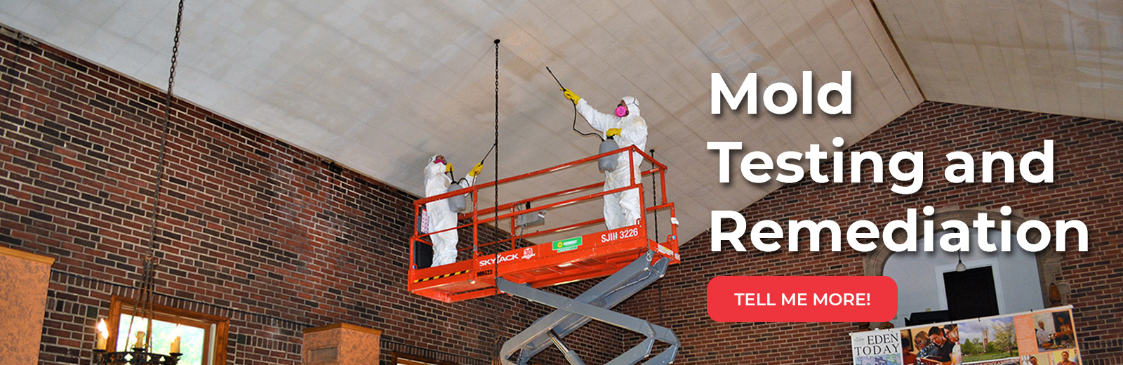 mold testing & remediation banner image