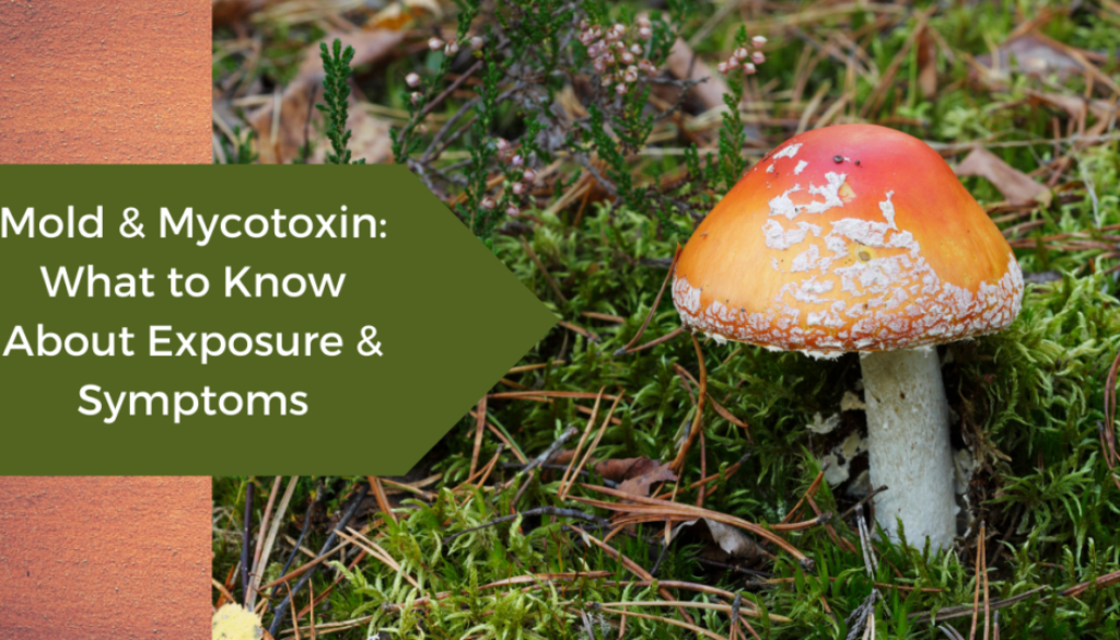 blog post graphic for Mycotoxin