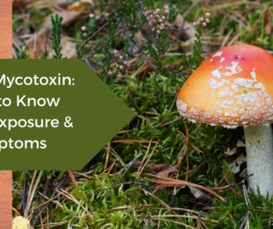 blog post graphic for Mycotoxin