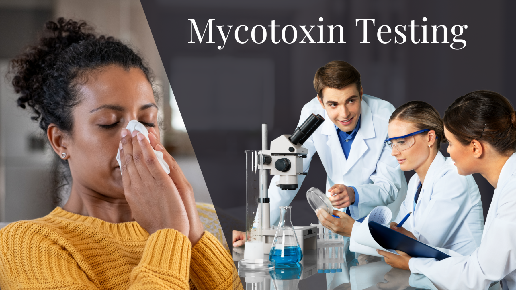 Mycotoxin testing by Wellington Environmental