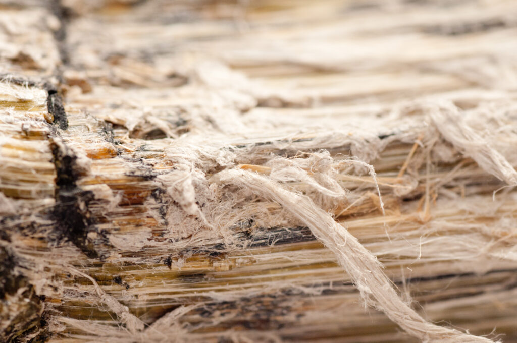 The Hidden Dangers: Ignoring Asbestos Remediation Risks