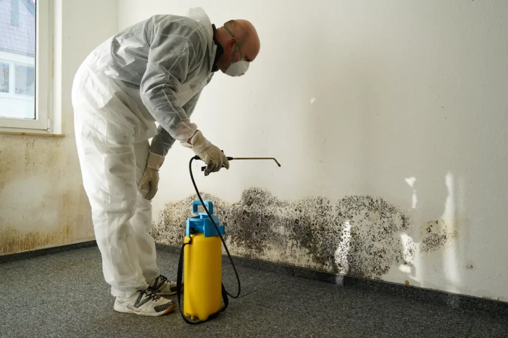 Mold Remediation Essentials: Understanding the Process and Benefits