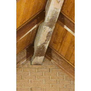 Mold colonized on the beam at the apex of the altar.