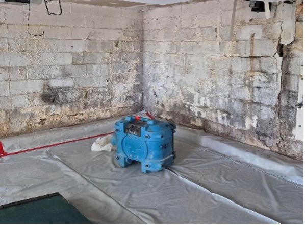 limestone foundation mold cleanup - Wellington Environmental