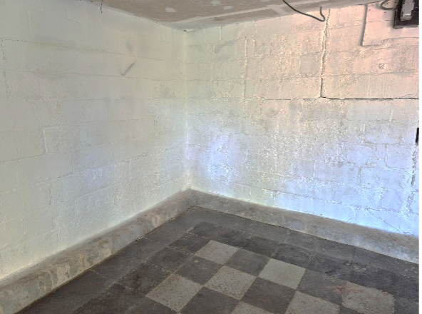 limestone foundation mold cleanup - Wellington Environmental